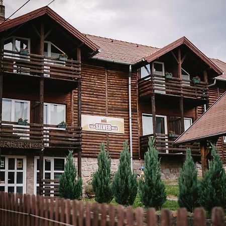 Silver Villa BaileTusnad Ngoại thất bức ảnh