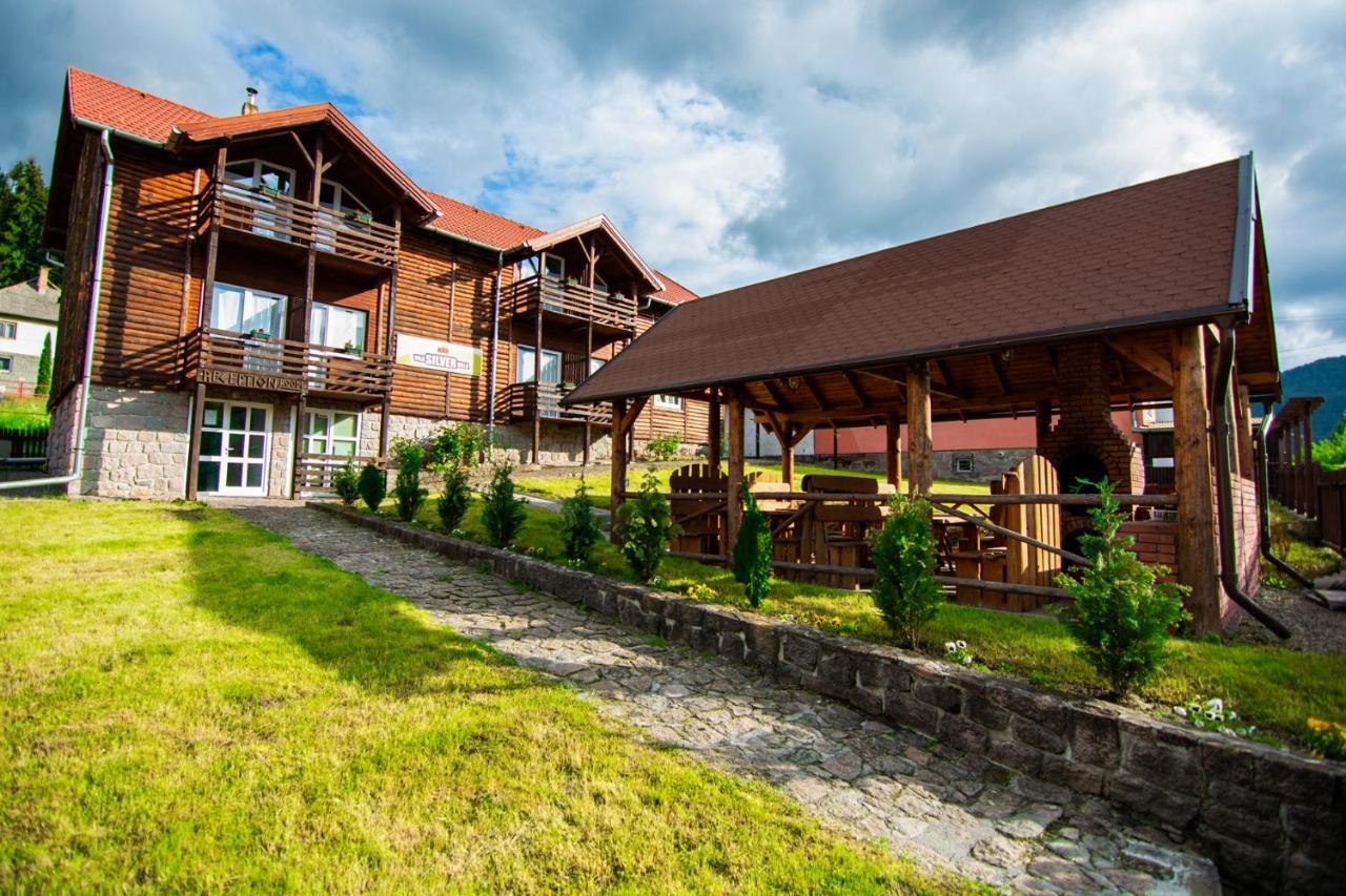 Silver Villa BaileTusnad Ngoại thất bức ảnh