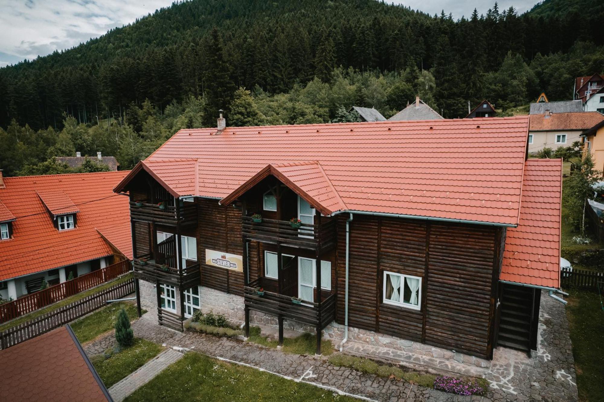 Silver Villa BaileTusnad Ngoại thất bức ảnh