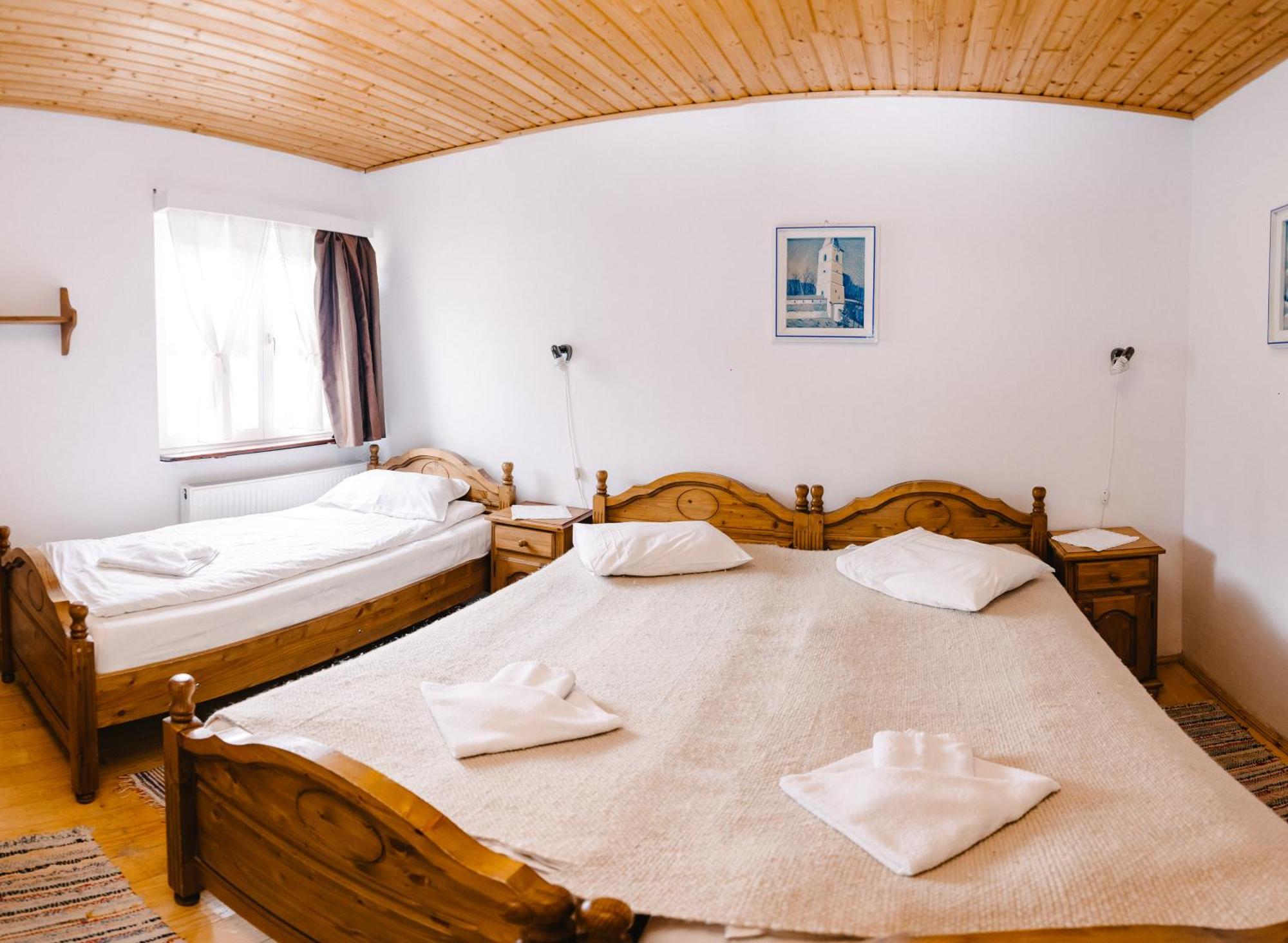 Silver Villa BaileTusnad Ngoại thất bức ảnh