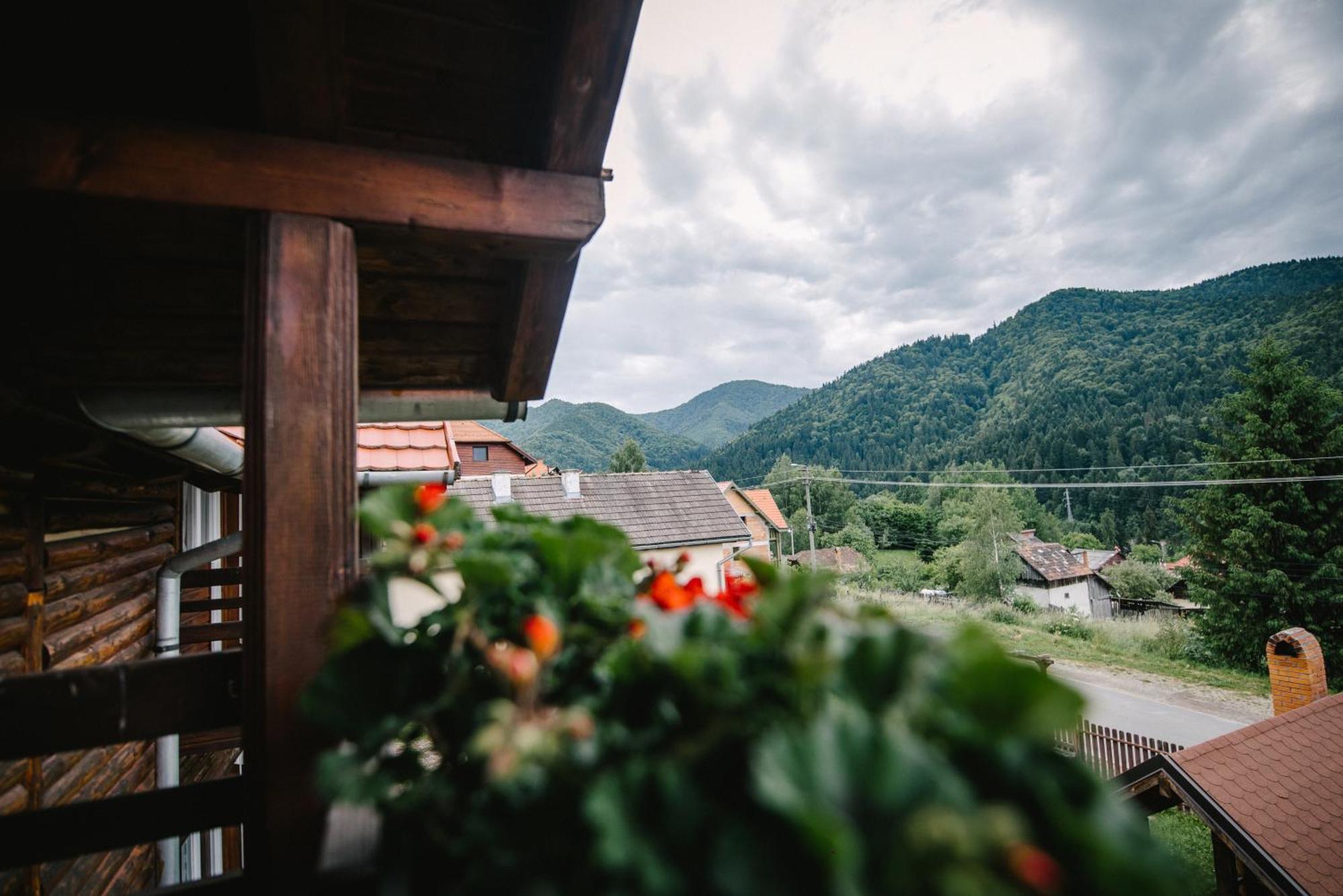 Silver Villa BaileTusnad Ngoại thất bức ảnh